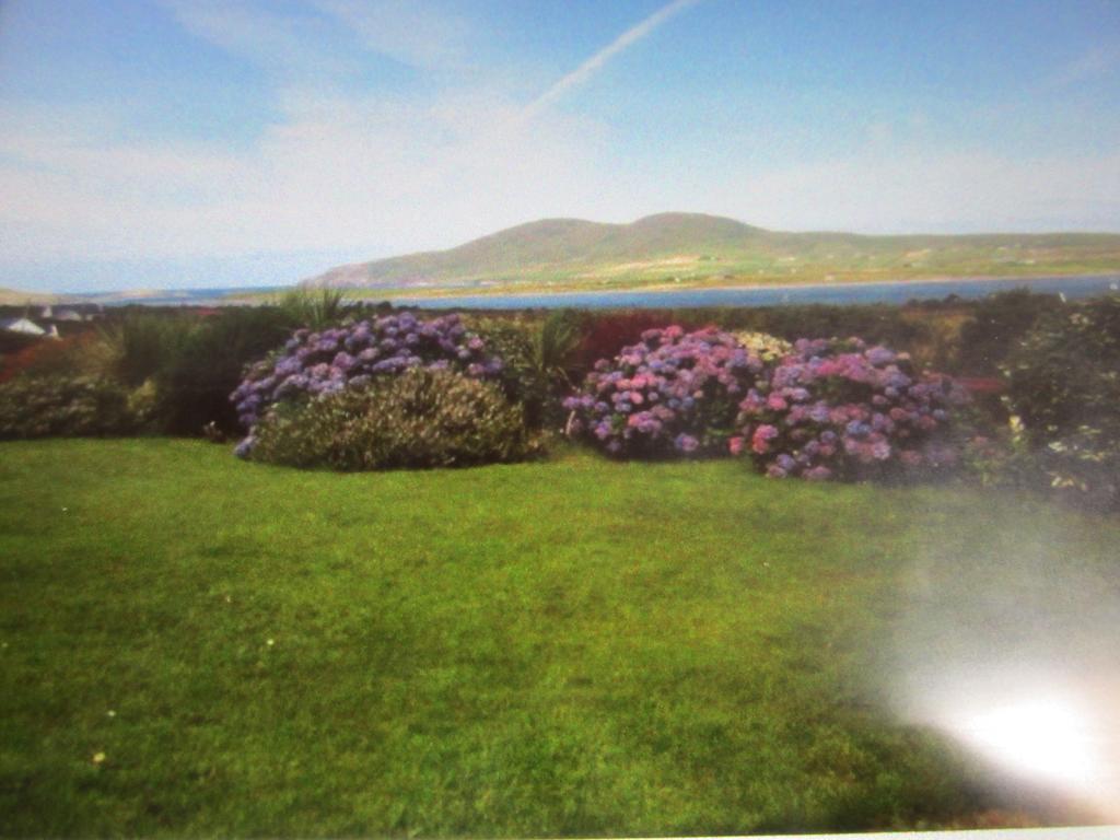 Ocean View B&B Killarney Exterior foto